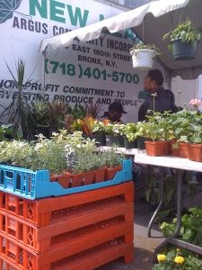 A New Leaf, Bronx greenhouse at Union Square Farmer's Market.